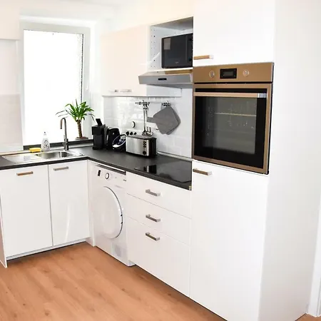 公寓 马琳街中心公寓 杜塞尔多夫