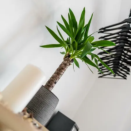 公寓 马琳街中心公寓 *